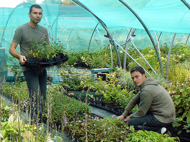 Fabrice et Olivier dans leur pépinière