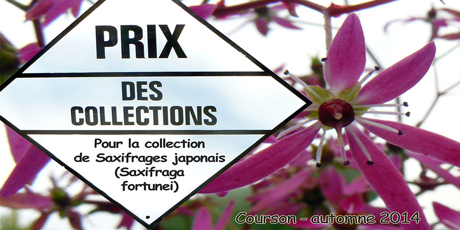 Automne 2014 - Prix Courson - Prix des collections