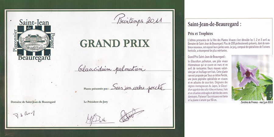 Printemps 2011- Prix St-jean - Glaucidium palmatum