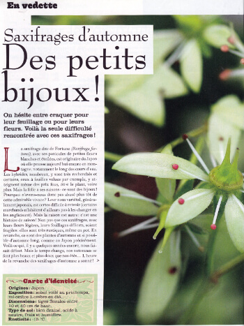 L'Ami des Jardins - novembre 2012